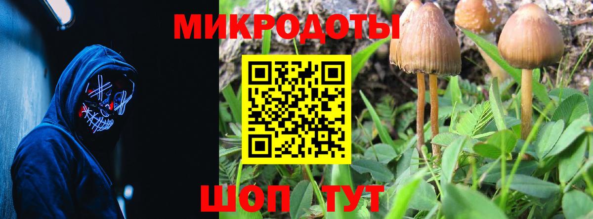 Псилоцибиновые грибы Psilocybine cubensis  Вход с VPN  Кудрово 